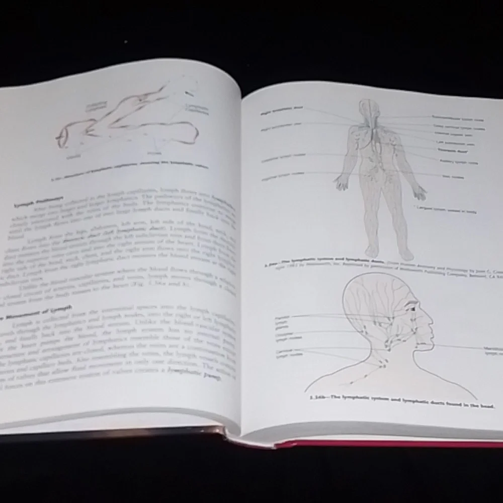 MILADY'S Theory and Practice of THERAPEUTIC MASSAGE Mark F. Beck